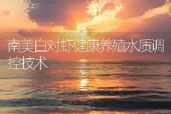 南美白对虾健康养殖水质调控技术