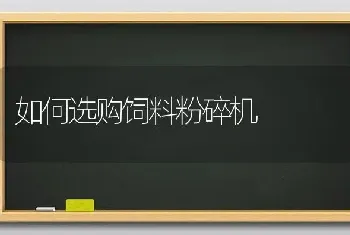 如何选购饲料粉碎机