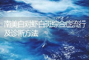 南美白对虾白斑综合症流行及诊断方法