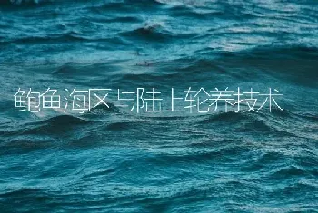 鲍鱼海区与陆上轮养技术