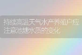 持续高温天气水产养殖户应注意池塘水质的变化