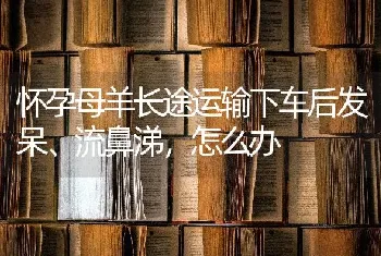 怀孕母羊长途运输下车后发呆、流鼻涕,怎么办