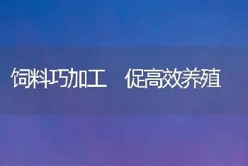 饲料巧加工 促高效养殖