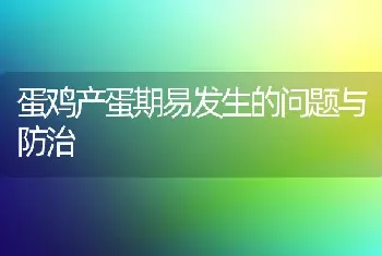 蛋鸡产蛋期易发生的问题与防治