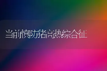 当前慎防猪高热综合征