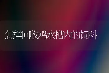 怎样回收鸡水槽内的饲料