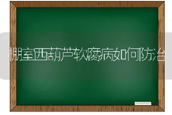 给猪分群与并群要讲方法