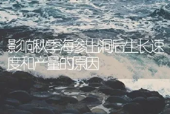 影响秋季海参出洞后生长速度和产量的原因