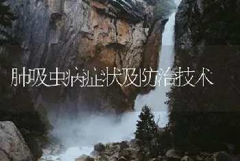 肺吸虫病症状及防治技术