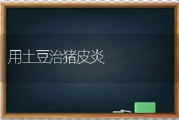 用土豆治猪皮炎