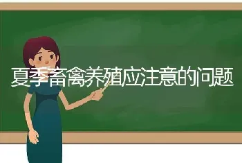 夏季畜禽养殖应注意的问题