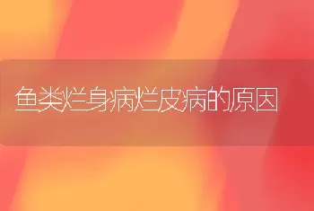 鱼类烂身病烂皮病的原因