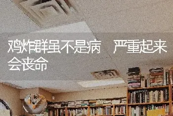 鸡炸群虽不是病 严重起来会丧命