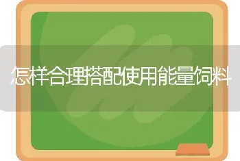 怎样合理搭配使用能量饲料