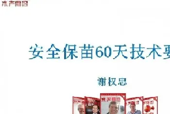 南美白对虾养殖户安全保苗60天技术要点