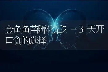 金鱼鱼苗孵化后2-3天开口食的选择