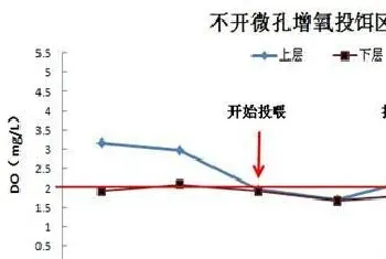 采用微孔增氧技术对投饵区进行增氧的效果评价