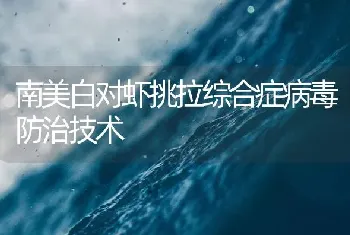 南美白对虾挑拉综合症病毒防治技术