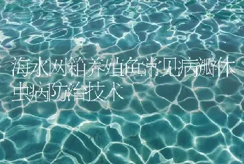 海水网箱养殖鱼常见病瓣体虫病防治技术