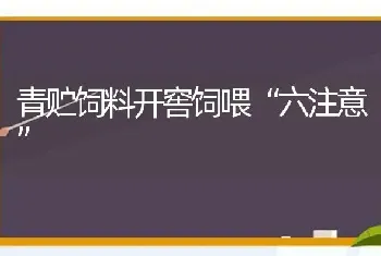 青贮饲料开窖饲喂“六注意”