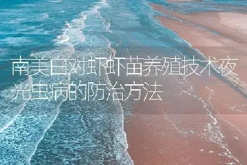 南美白对虾虾苗养殖技术夜光虫病的防治方法