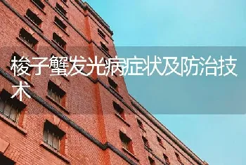 梭子蟹发光病症状及防治技术