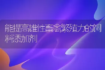 能提高雄性畜禽繁殖力的饲料添加剂