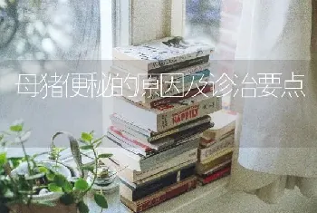 母猪便秘的原因及诊治要点