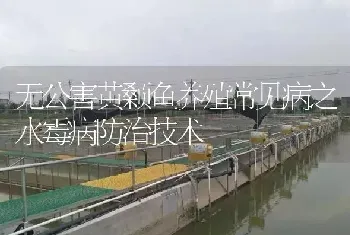 无公害黄颡鱼养殖常见病之水霉病防治技术