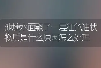 池塘水面飘了一层红色油状物质是什么原因怎么处理