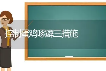 控制蛋鸡啄癖三措施