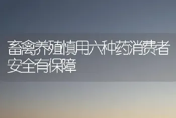 畜禽养殖慎用六种药消费者安全有保障