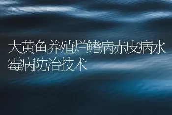 大黄鱼养殖烂鳍病赤皮病水霉病防治技术