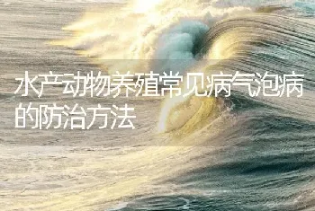 水产动物养殖常见病气泡病的防治方法