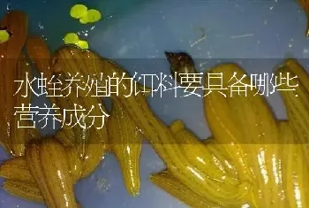 水蛭养殖的饵料要具备哪些营养成分