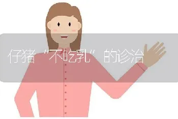 仔猪“不吃乳”的诊治