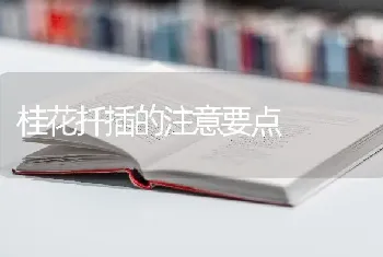 鹅鸭舍如何消毒