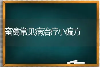 畜禽常见病治疗小偏方