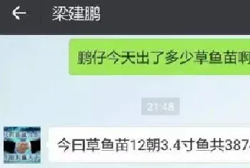 这样养小草鱼,竟然有你想象不到低的料肉比！！