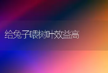 给兔子喂树叶效益高