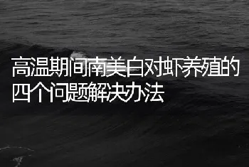 高温期间南美白对虾养殖的四个问题解决办法