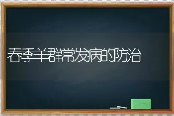 春季羊群常发病的防治