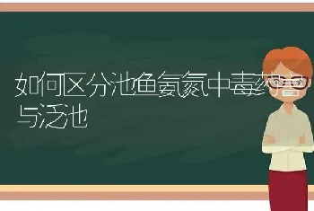 如何区分池鱼氨氮中毒药害与泛池