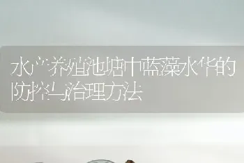 水产养殖池塘中蓝藻水华的防控与治理方法