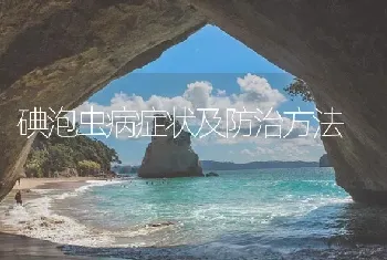 碘泡虫病症状及防治方法