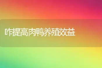 咋提高肉鸭养殖效益