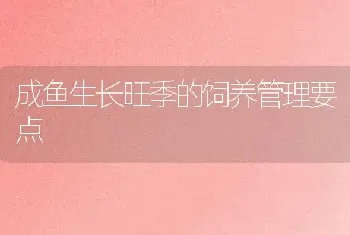 成鱼生长旺季的饲养管理要点