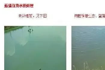 施工：相对而言,菌藻关系并没有传说中那么重要