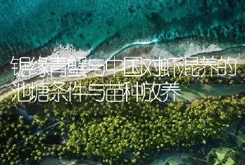 锯缘青蟹与中国对虾混养的池塘条件与苗种放养