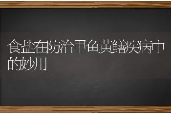 食盐在防治甲鱼黄鳝疾病中的妙用